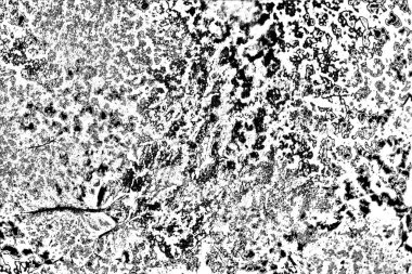 Soyut grunge arkaplanı. Monokrom dokusu. Siyah beyaz arkaplan