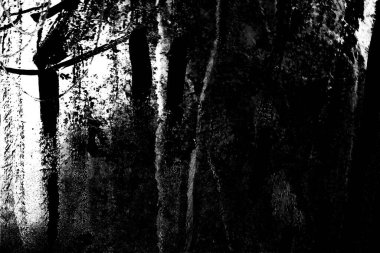 Soyut grunge arkaplanı. Monokrom dokusu. Siyah ve beyaz desenli arkaplan