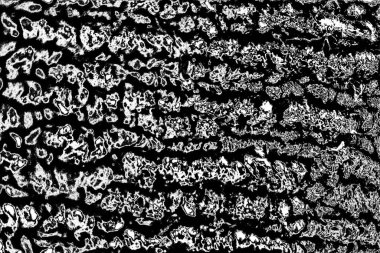 Siyah ve beyaz arkaplanlı tek renkli doku.