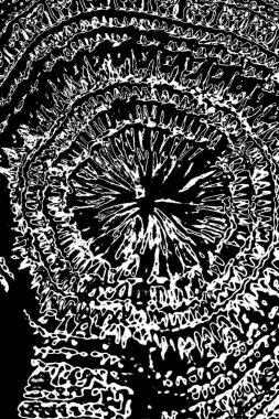 Soyut grunge arkaplanı. Monokrom dokusu. Siyah ve beyaz desenli arkaplan