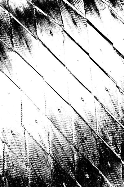 Monochrome Texture Black White Background — Stock Photo, Image