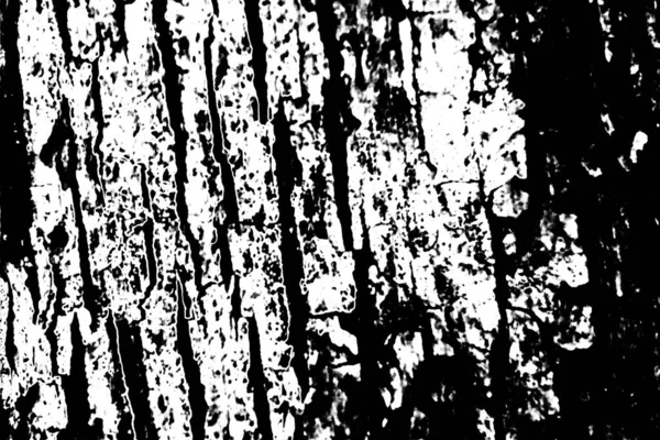 Fondo Grunge Abstracto Textura Monocromática Fondo Texturizado Blanco Negro — Foto de Stock