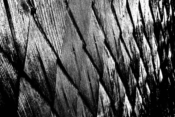 Fundo Abstrato Textura Monocromática Imagem Incluindo Efeito Tons Preto Branco — Fotografia de Stock