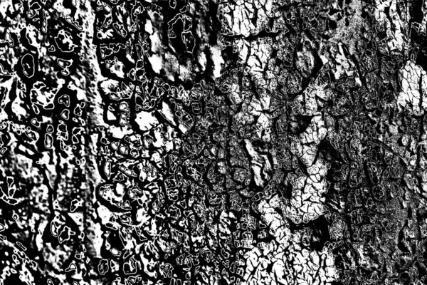 Monochrome Texture Black White Background — Stock Photo, Image