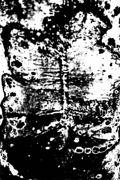 Fondo Grunge Abstracto Textura Monocromática Fondo Texturizado Blanco Negro — Foto de Stock