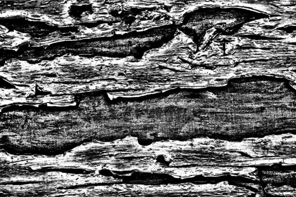 Textura Monocromática Con Fondo Blanco Negro — Foto de Stock