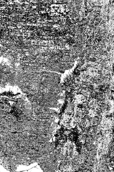 Sfondo Astratto Texture Monocromatica Immagine Compreso Effetto Toni Bianco Nero — Foto Stock