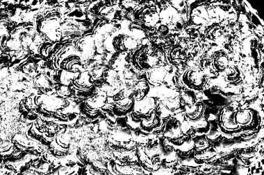 Gri grunge arkaplan, soyut duvar kağıdı.