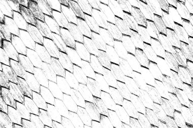 Soyut grunge arkaplanı. Monokrom dokusu. Resim siyah ve beyaz tonları içerir.