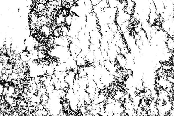 Abstract Grunge Background Monochrome Texture Image Including Effect Black White — Stock Photo, Image