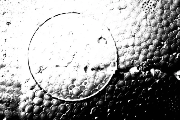 Fondo Grunge Abstracto Textura Monocromática Fondo Texturizado Blanco Negro —  Fotos de Stock