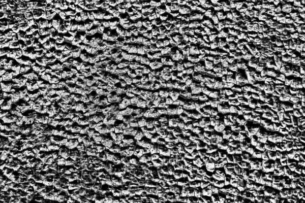 Monochrome Texture Black White Background — Stock Photo, Image