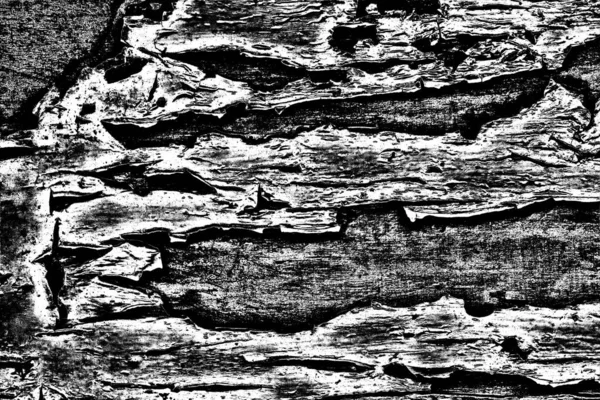 Textura Monocromática Con Fondo Blanco Negro — Foto de Stock