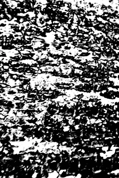 Résumé Fond Grunge Texture Monochrome Fond Texturé Noir Blanc — Photo