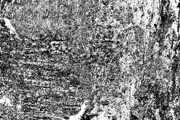 Sfondo Astratto Texture Monocromatica Immagine Compreso Effetto Toni Bianco Nero — Foto Stock