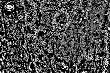 Siyah ve beyaz arkaplanlı tek renkli doku.