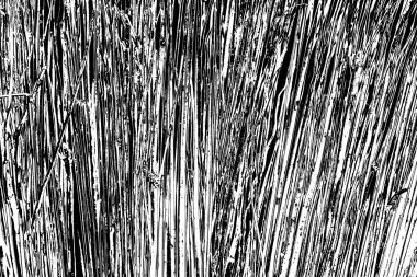 Soyut grunge arkaplanı. Monokrom dokusu. Siyah ve beyaz desenli arkaplan