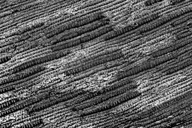 Siyah ve beyaz arkaplanlı tek renkli doku.