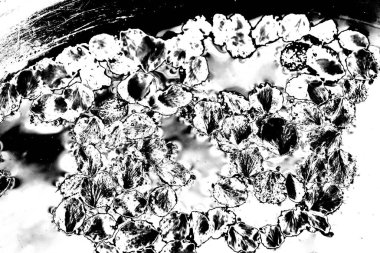 Soyut grunge arkaplanı. Monokrom dokusu. Siyah ve beyaz desenli arkaplan