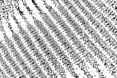 Siyah ve beyaz arkaplanlı tek renkli doku.