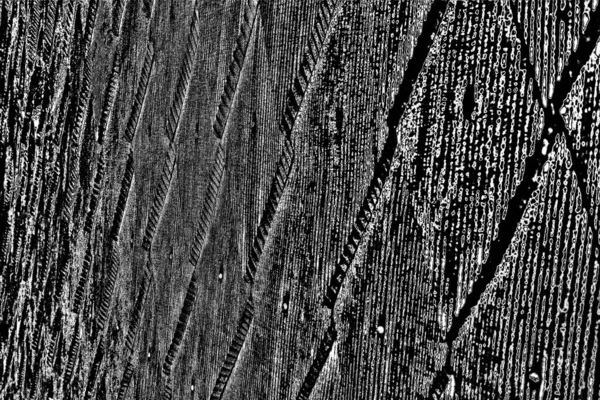 Textura Monocromática Con Fondo Blanco Negro — Foto de Stock