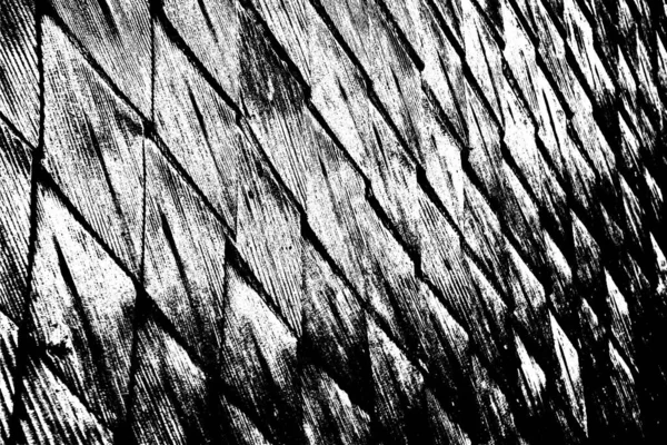 Fond Abstrait Texture Monochrome Image Incluant Effet Les Tons Noir — Photo