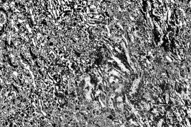 Soyut siyah-beyaz grunge arka planı. monokrom dokusu.