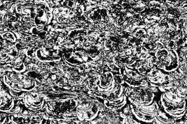 Soyut grunge arkaplanı. Monokrom dokusu. Siyah ve beyaz desenli arkaplan