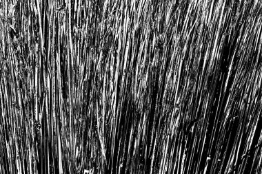 Soyut grunge arkaplanı. Monokrom dokusu. Siyah ve beyaz desenli arkaplan