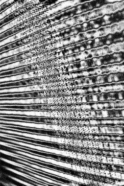 Soyut siyah-beyaz grunge arka planı. monokrom dokusu.