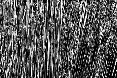 Soyut grunge arkaplanı. Monokrom dokusu. Siyah ve beyaz desenli arkaplan