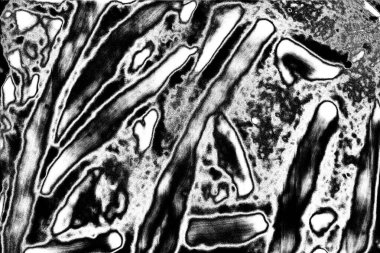 Soyut siyah-beyaz grunge arka planı. monokrom dokusu.