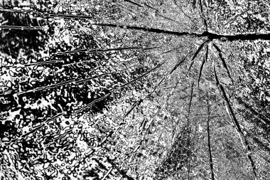 Soyut arkaplan. monokrom dokusu. resim siyah ve beyaz tonları içerir.