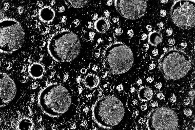 Soyut grunge arkaplanı. Monokrom dokusu. Siyah ve beyaz desenli arkaplan