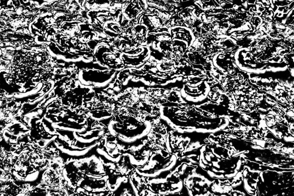 Fondo Grunge Abstracto Textura Monocromática Fondo Texturizado Blanco Negro —  Fotos de Stock