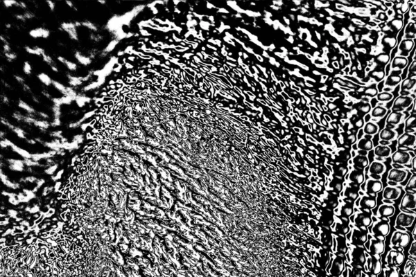 Fondo Grunge Abstracto Textura Monocromática Fondo Texturizado Blanco Negro — Foto de Stock