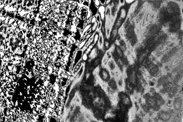 抽象的な背景 モノクロームの質感 白黒のトーンを含む画像は — ストック写真