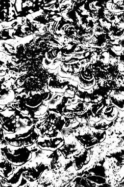 Soyut grunge arkaplanı. Monokrom dokusu. Siyah ve beyaz desenli arkaplan