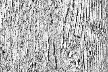 soyut gri arkaplan, alan arkaplanını kopyala