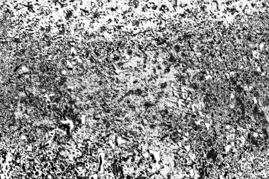 soyut beton grunge arkaplanı, kopyalama alanı 