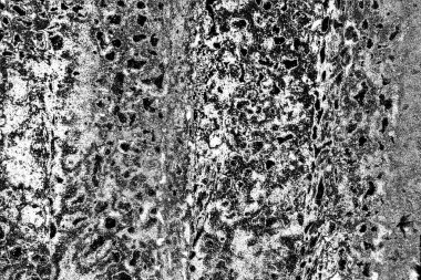 soyut gri grunge arkaplanı, alan arkaplanını kopyala