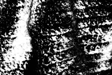 Soyut arkaplan. monokrom dokusu. resim siyah ve beyaz tonları içerir.