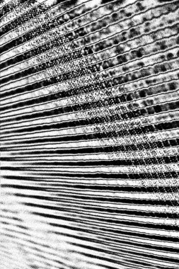 Gri grunge yüzeyi, boşluk duvar kağıdını kopyala 