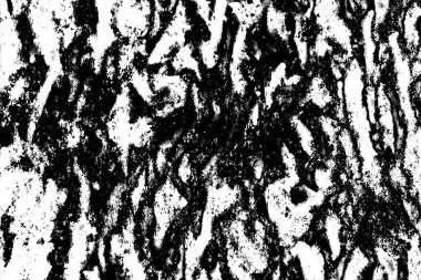 Soyut grunge arkaplanı. Monokrom dokusu. Siyah ve beyaz desenli arkaplan