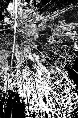 Soyut grunge arkaplanı. Monokrom dokusu. Siyah ve beyaz desenli arkaplan