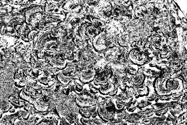 soyut gri grunge arkaplanı, alan arkaplanını kopyala