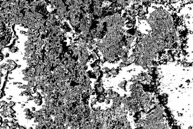 Soyut arkaplan. monokrom dokusu. resim siyah ve beyaz tonları içerir.