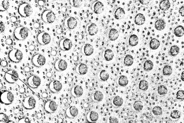 soyut gri beton arkaplan, alan arkaplanını kopyala