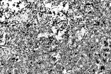 soyut gri grunge yüzeyi, uzay duvar kağıdını kopyala