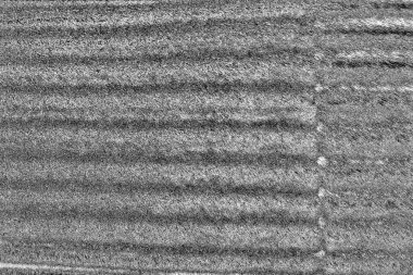 Gri grunge yüzeyi, boşluk duvar kağıdını kopyala 